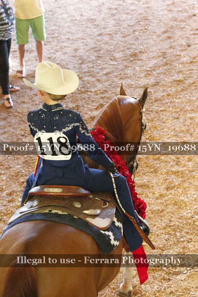 Proof Number 15YN_19688