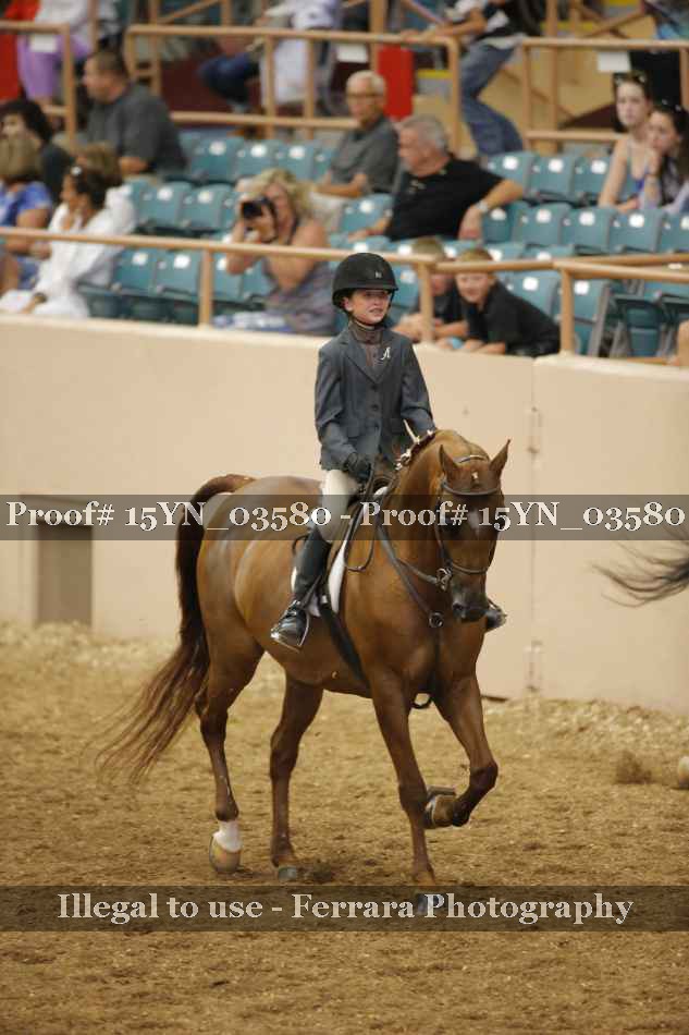 Proof Number 15YN_03580