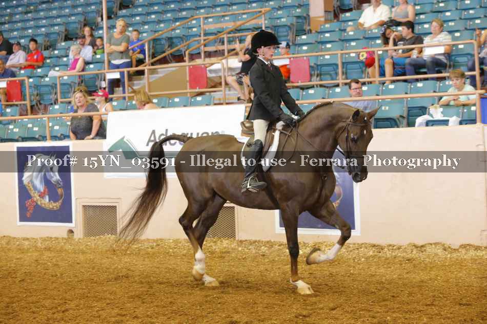 Proof Number 15YN_03591