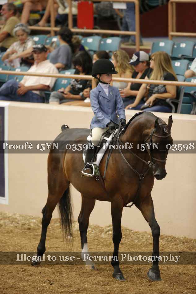 Proof Number 15YN_03598