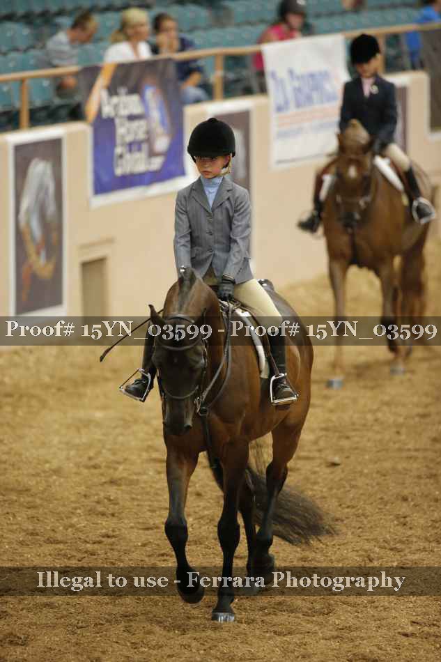 Proof Number 15YN_03599