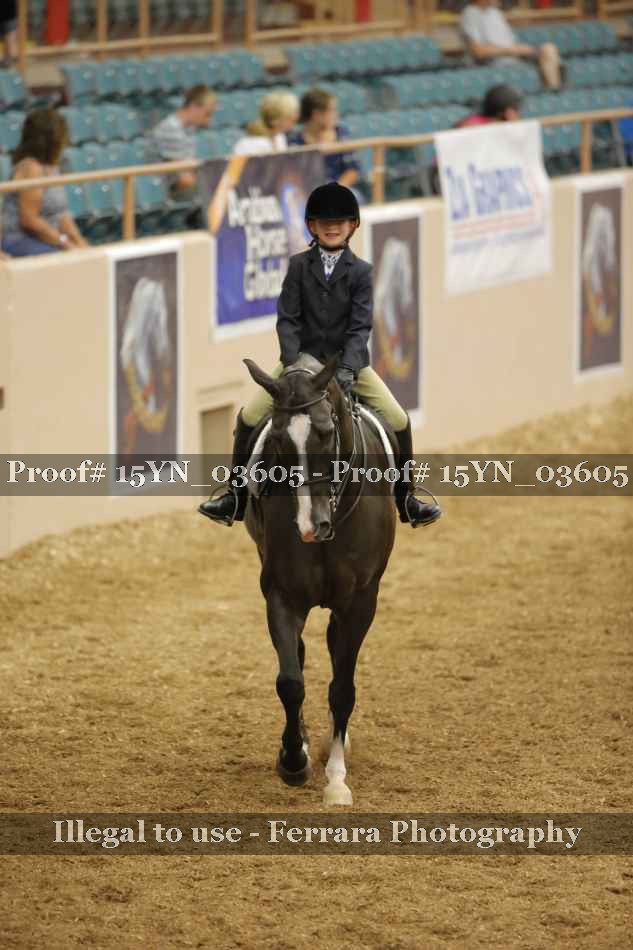 Proof Number 15YN_03605