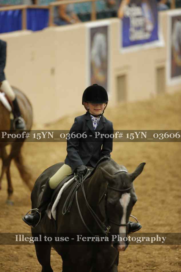 Proof Number 15YN_03606