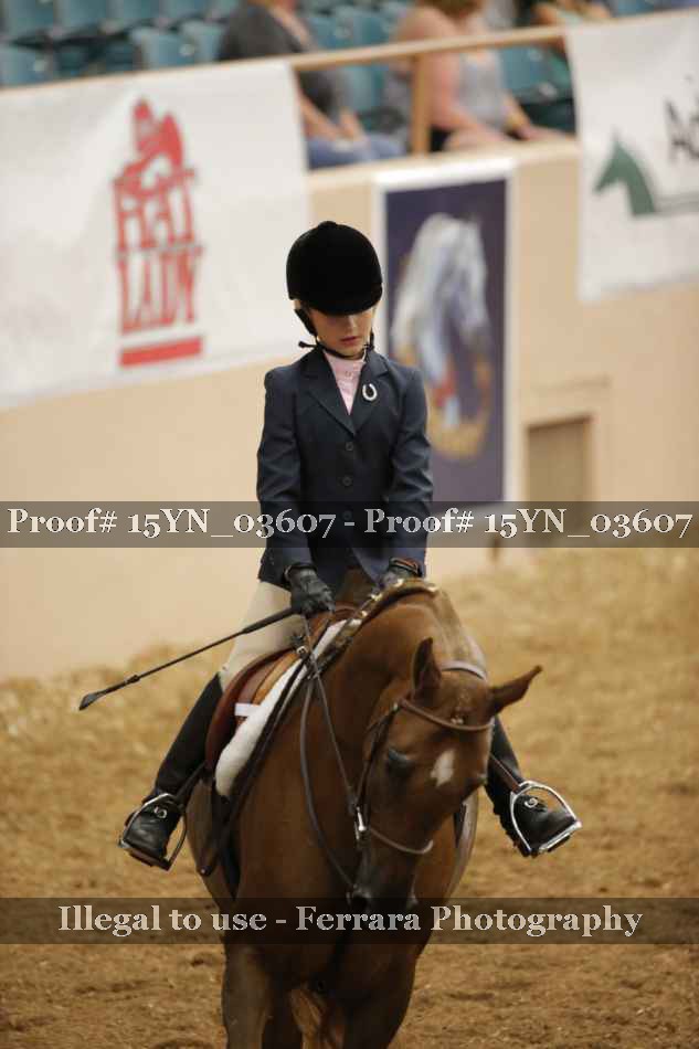 Proof Number 15YN_03607