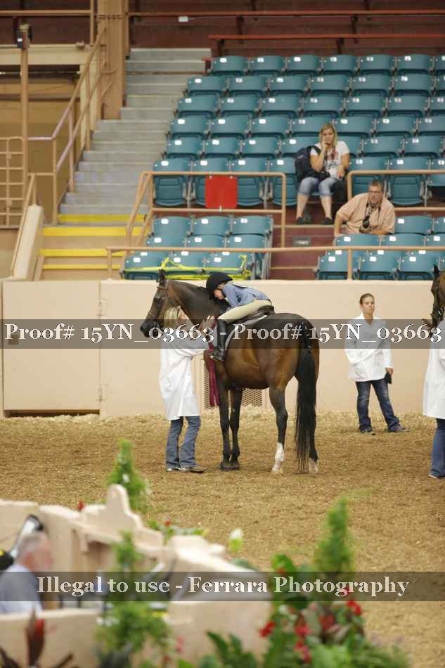Proof Number 15YN_03663