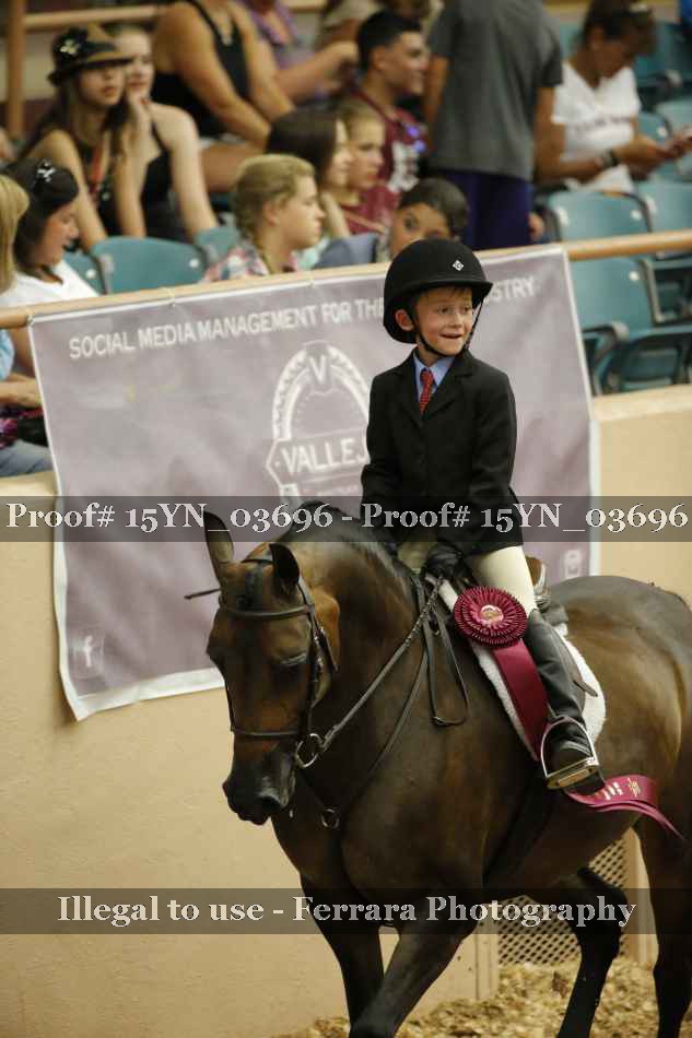 Proof Number 15YN_03696