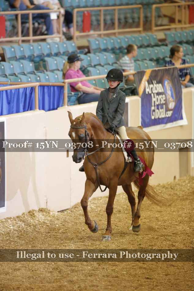 Proof Number 15YN_03708