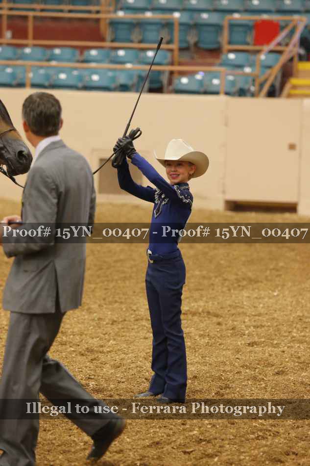 Proof Number 15YN_00407