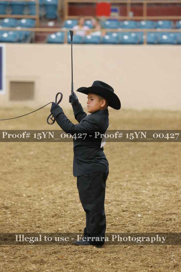 Proof Number 15YN_00427