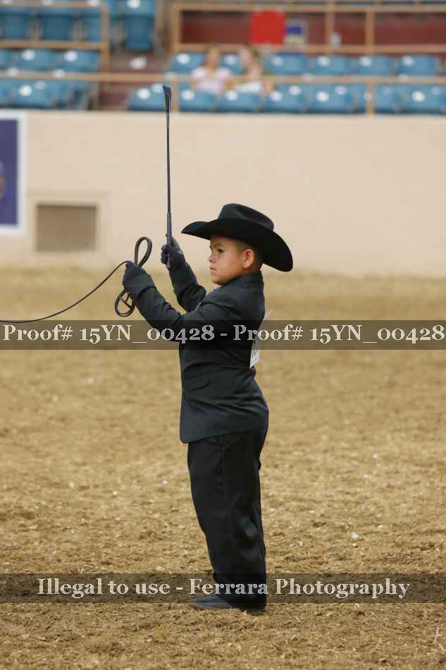 Proof Number 15YN_00428
