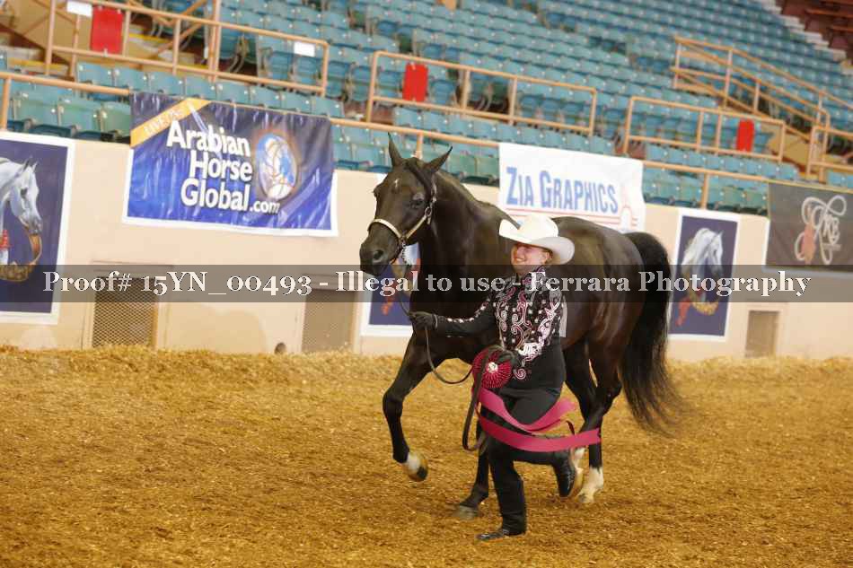 Proof Number 15YN_00493