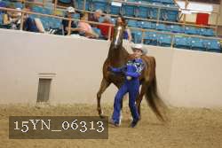 15YN_06313 thumbnail