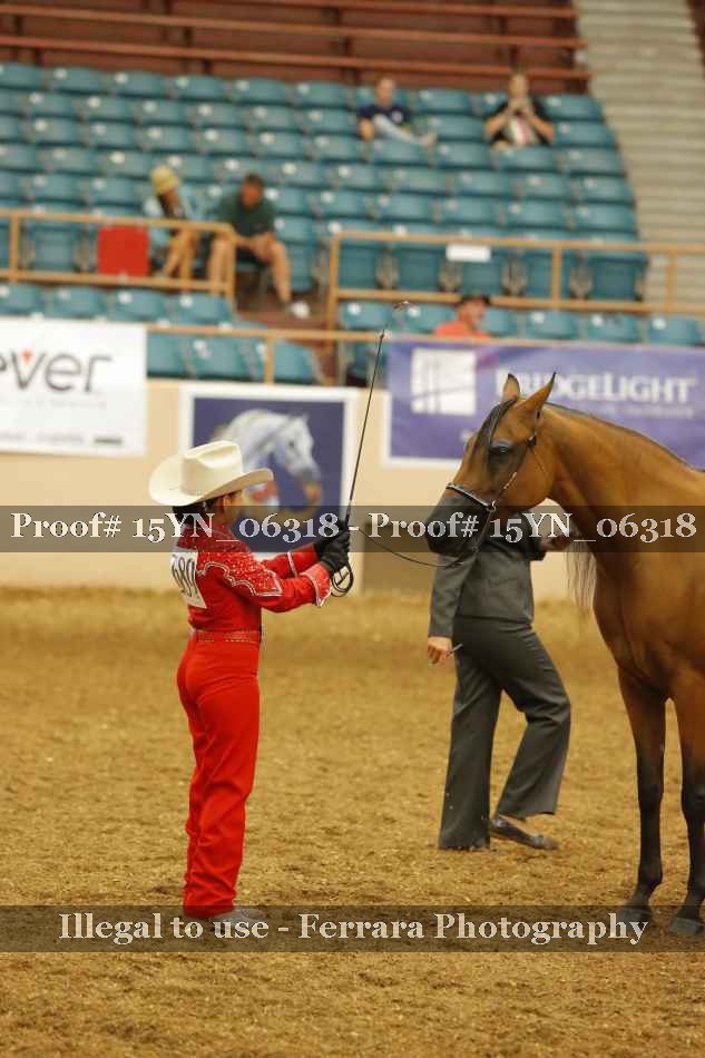 Proof Number 15YN_06318
