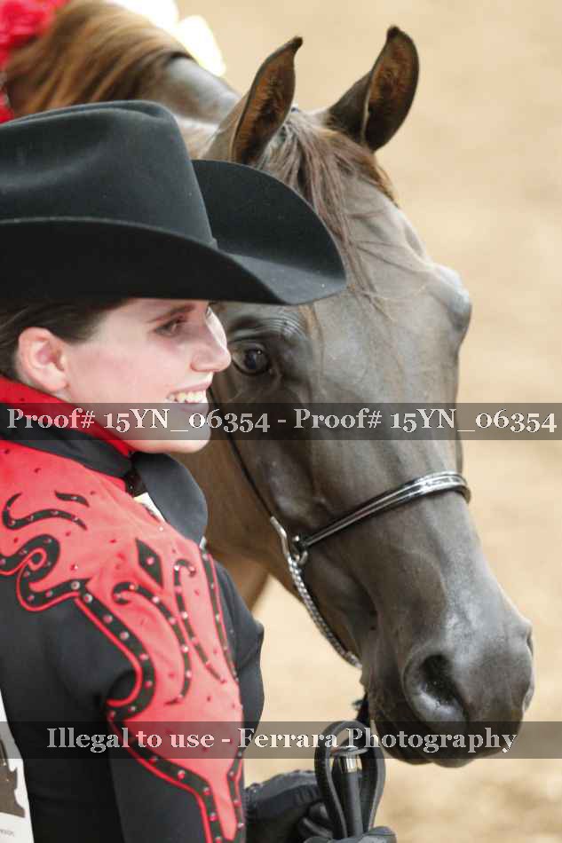 Proof Number 15YN_06354