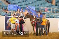 15YN_06361 thumbnail