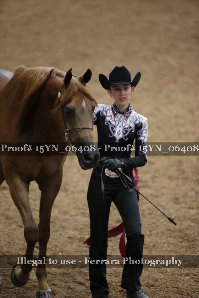 Proof Number 15YN_06408