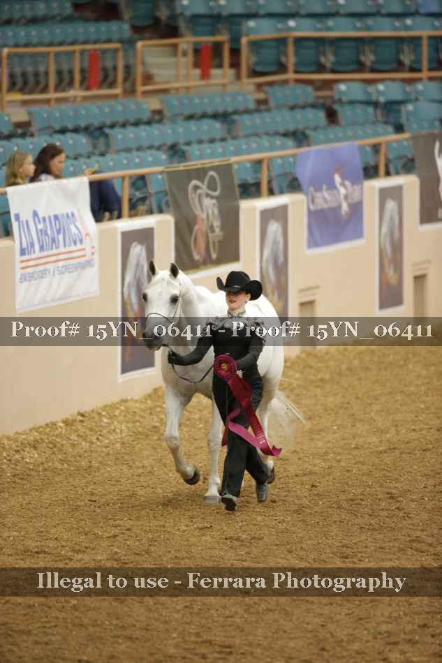 Proof Number 15YN_06411