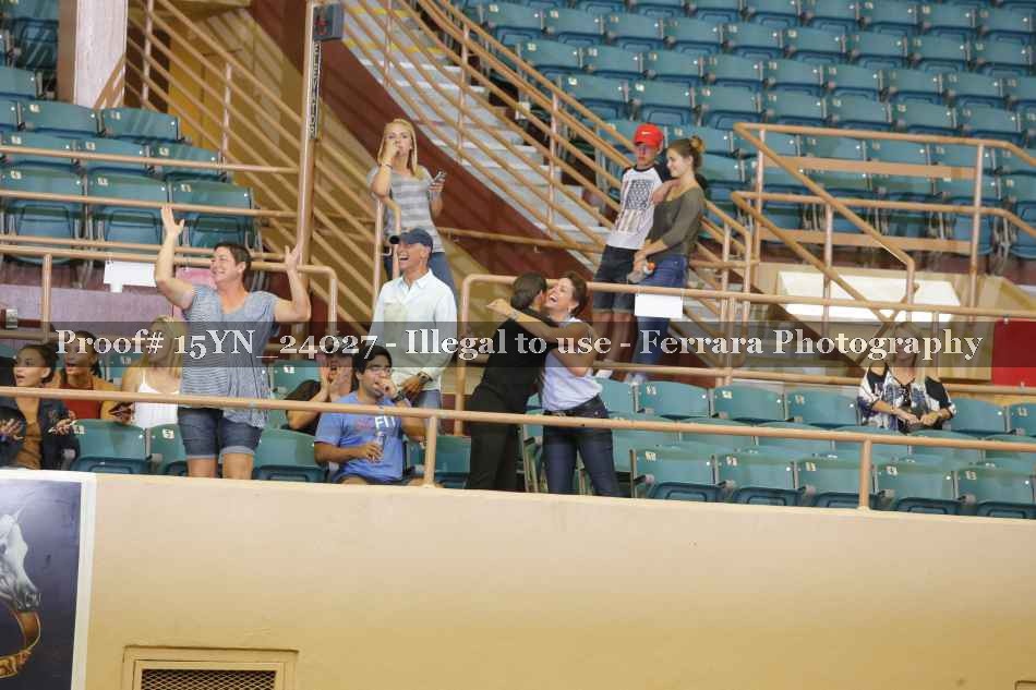 Proof Number 15YN_24027