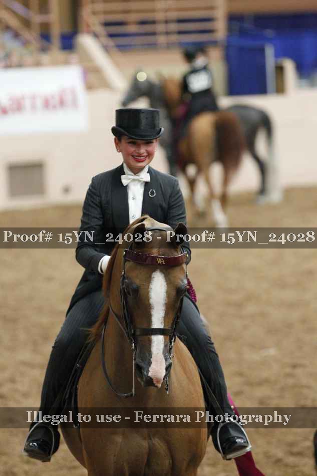 Proof Number 15YN_24028