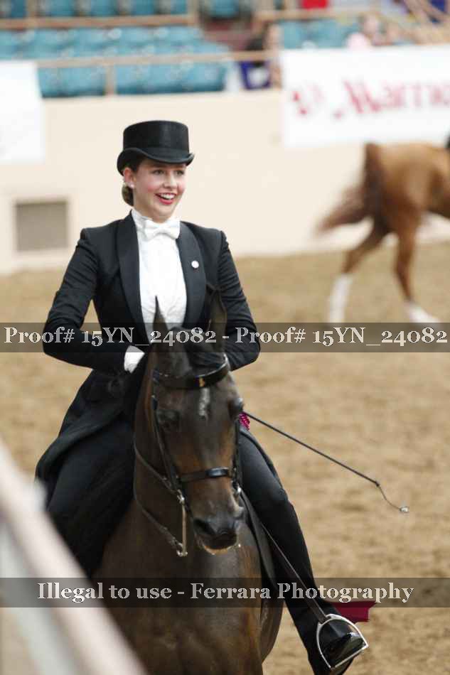 Proof Number 15YN_24082