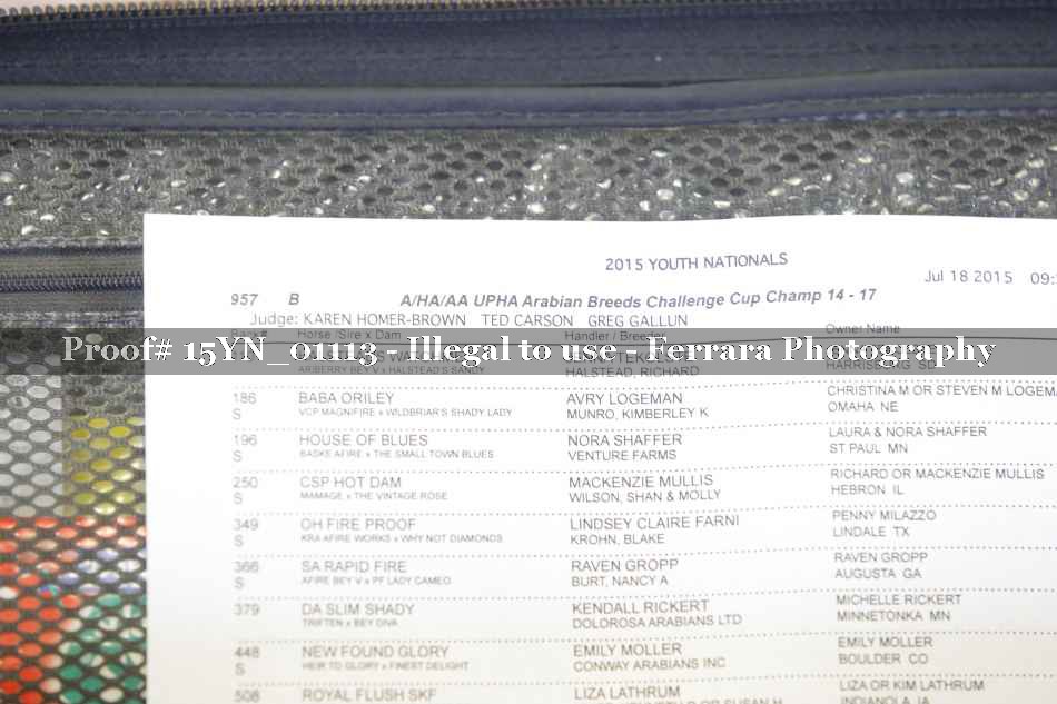 Proof Number 15YN_01113