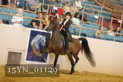 15YN_01129 thumbnail