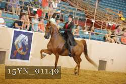 15YN_01140 thumbnail