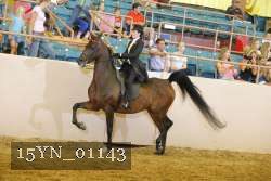 15YN_01143 thumbnail
