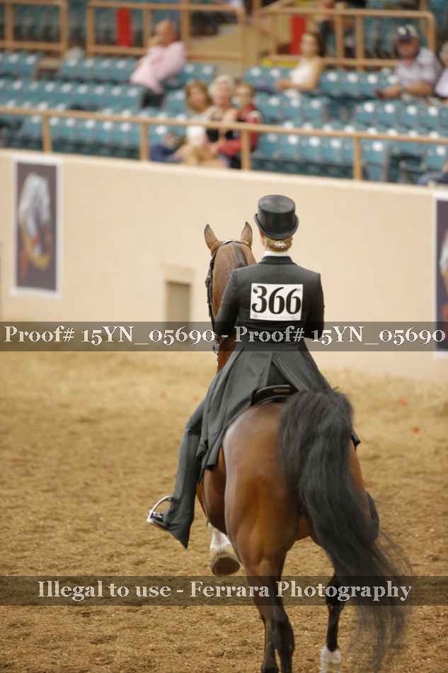 Proof Number 15YN_05690