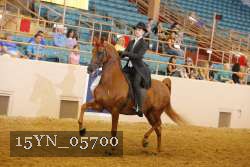 15YN_05700 thumbnail