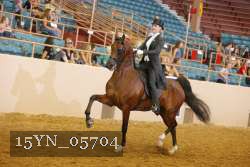 15YN_05704 thumbnail