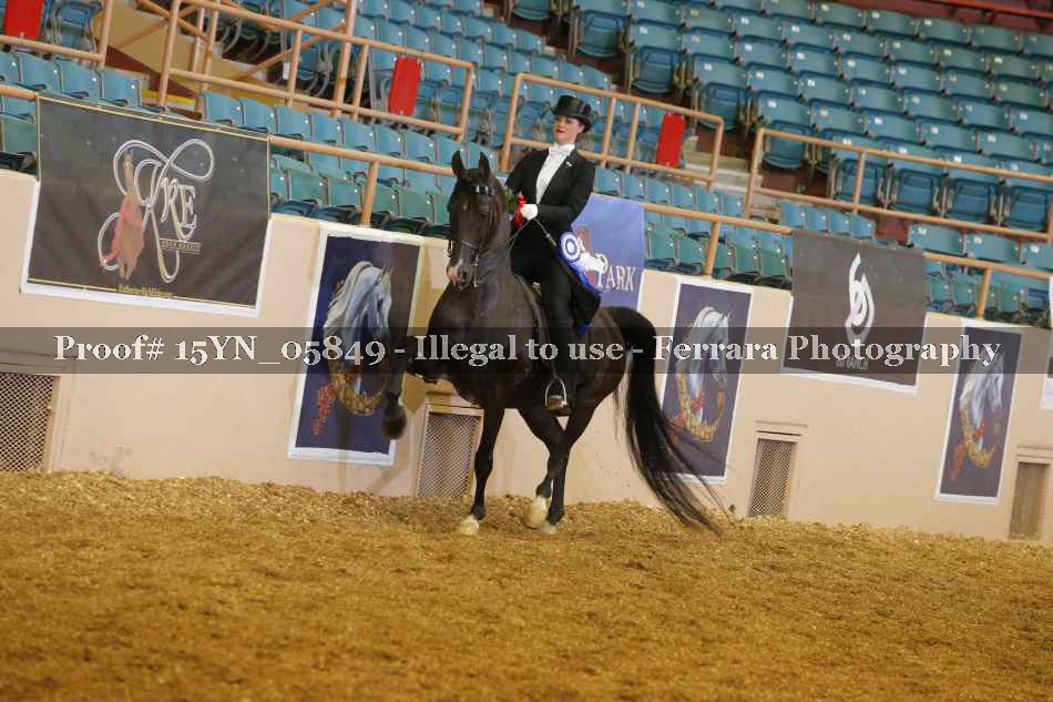 Proof Number 15YN_05849
