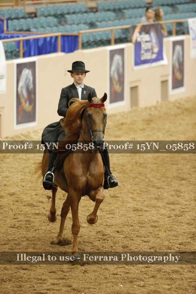Proof Number 15YN_05858