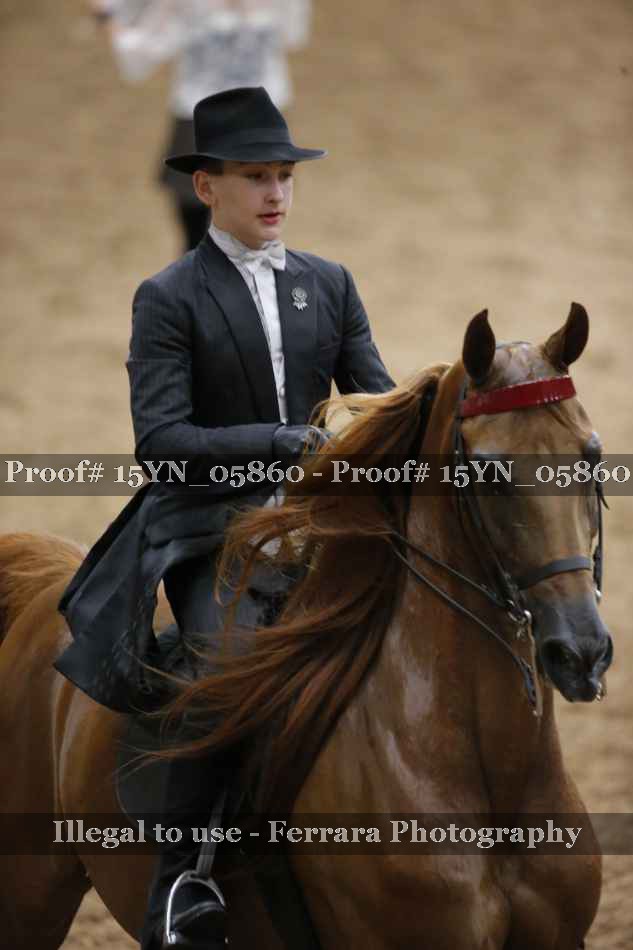 Proof Number 15YN_05860