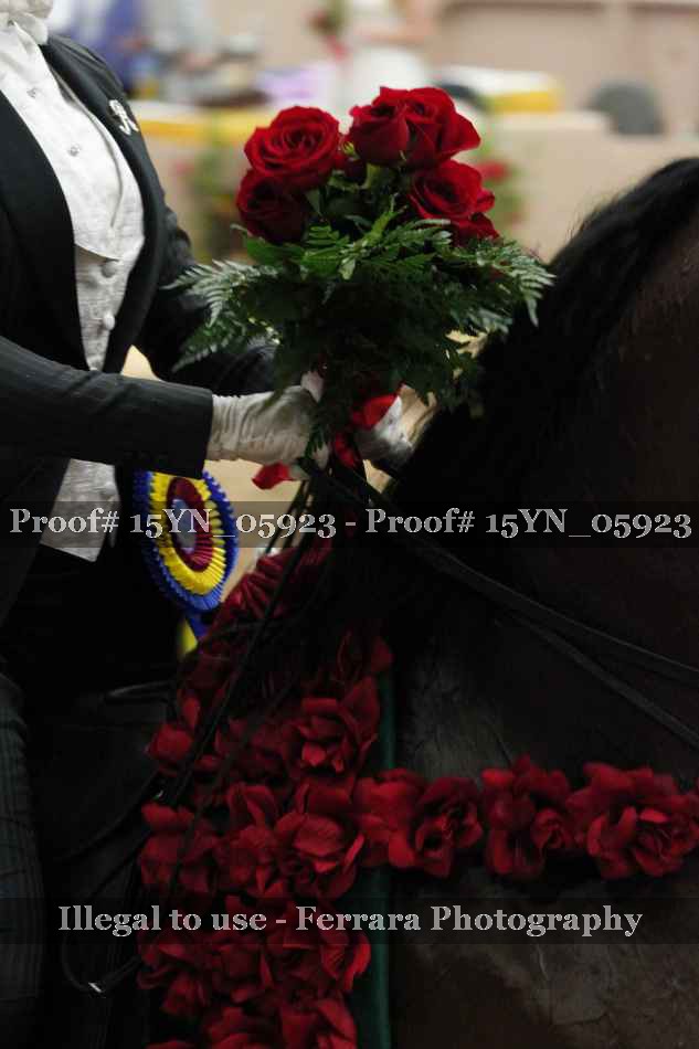 Proof Number 15YN_05923