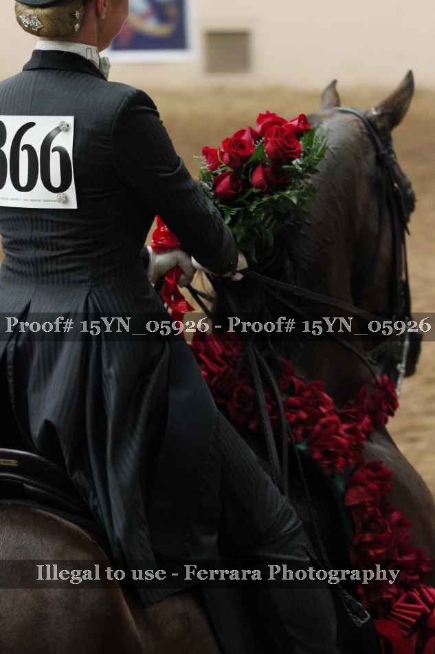Proof Number 15YN_05926