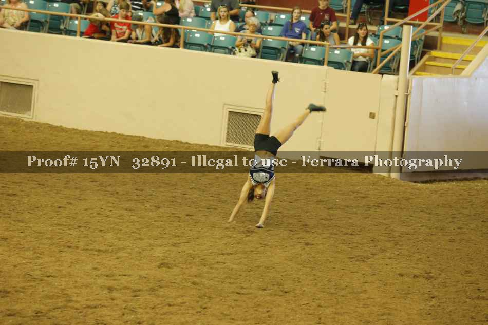 Proof Number 15YN_32891