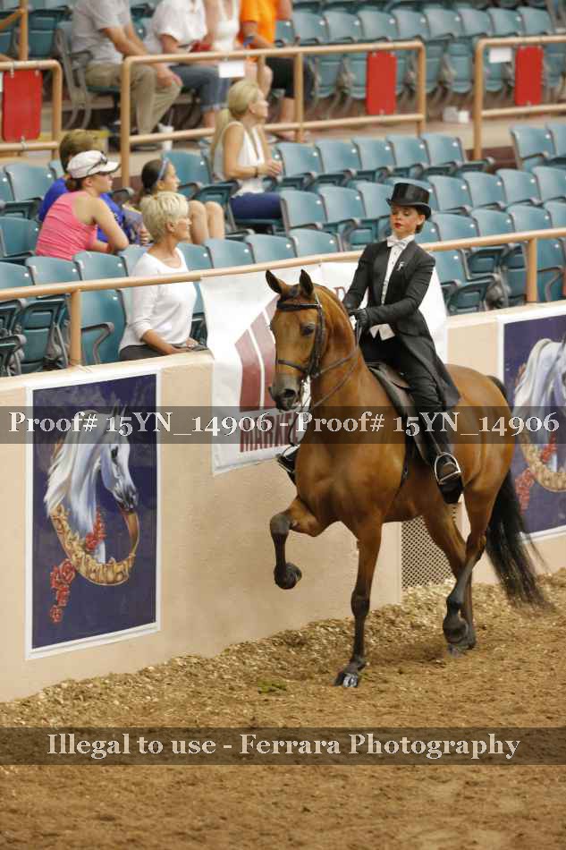 Proof Number 15YN_14906