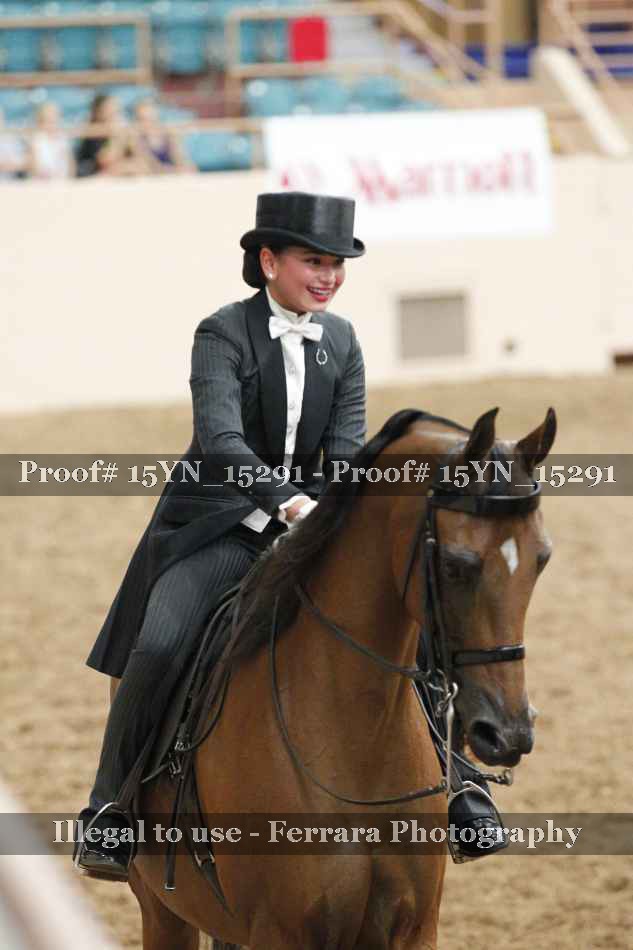 Proof Number 15YN_15291