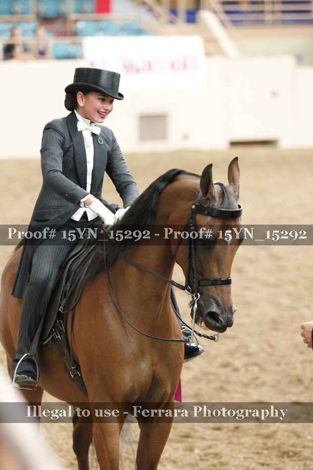 Proof Number 15YN_15292