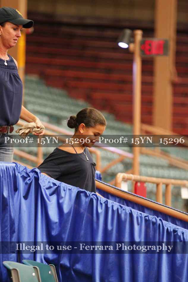 Proof Number 15YN_15296