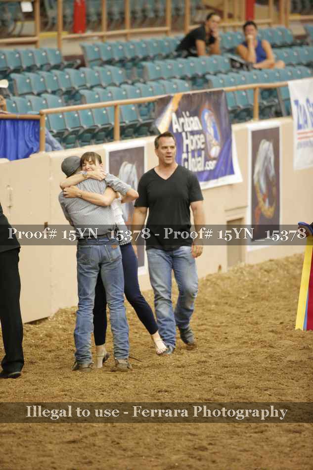 Proof Number 15YN_15378