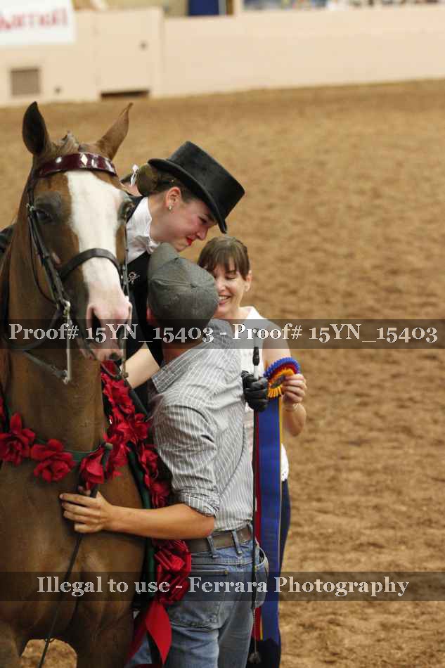 Proof Number 15YN_15403