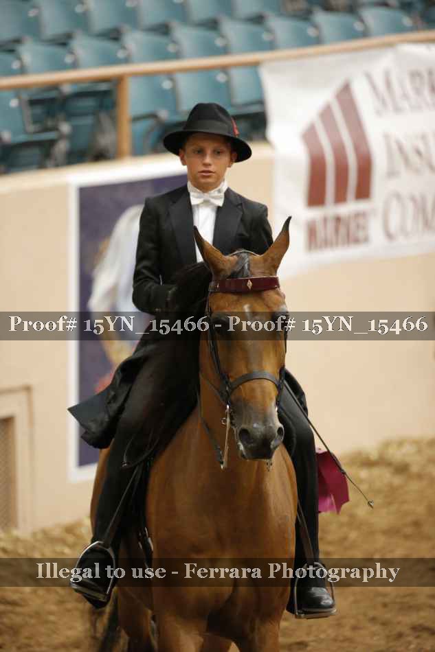 Proof Number 15YN_15466