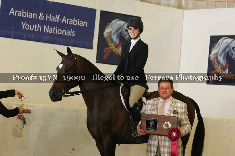 Proof Number 15YN_19090