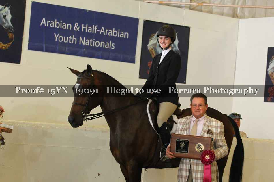 Proof Number 15YN_19091