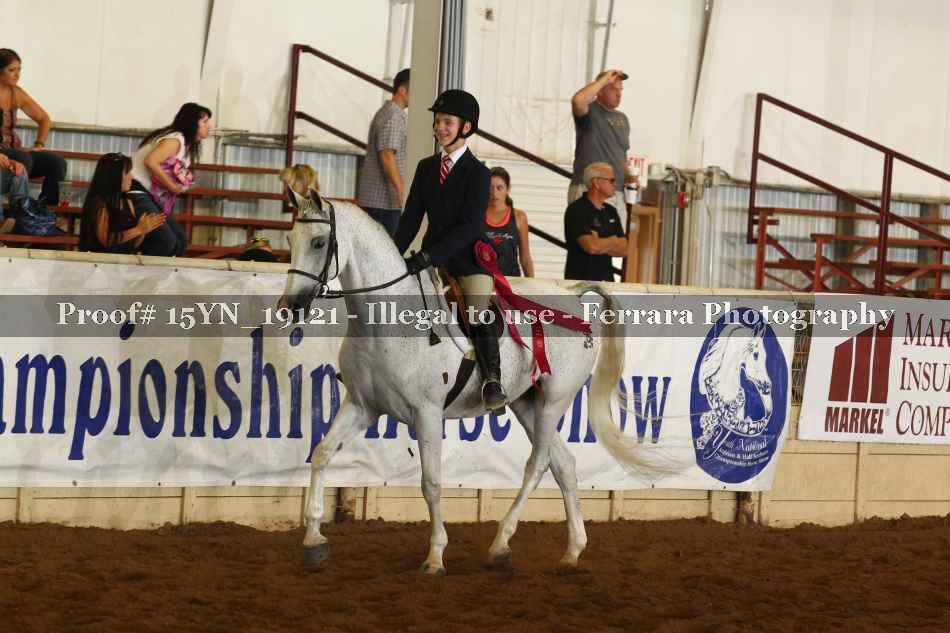 Proof Number 15YN_19121