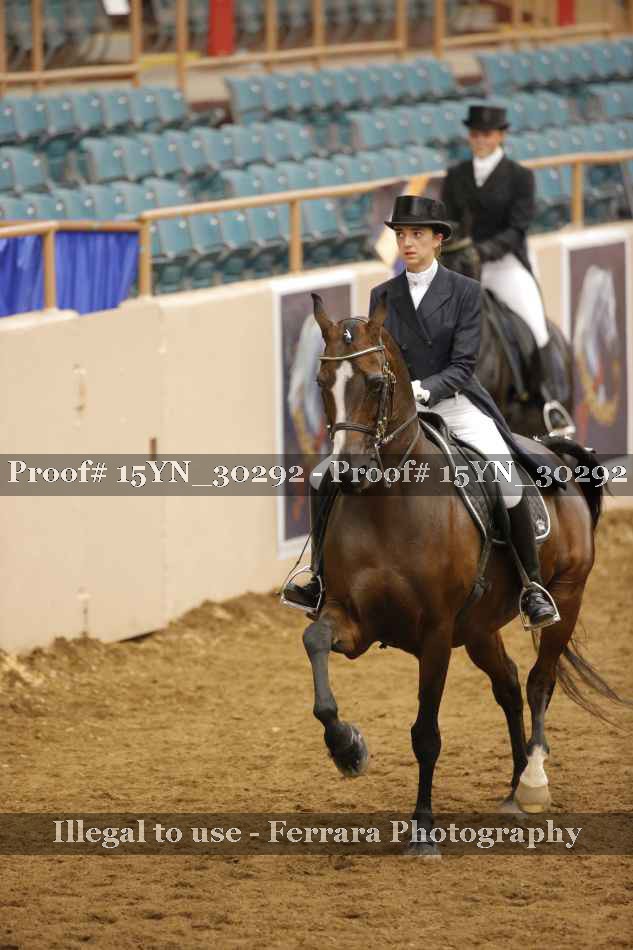Proof Number 15YN_30292