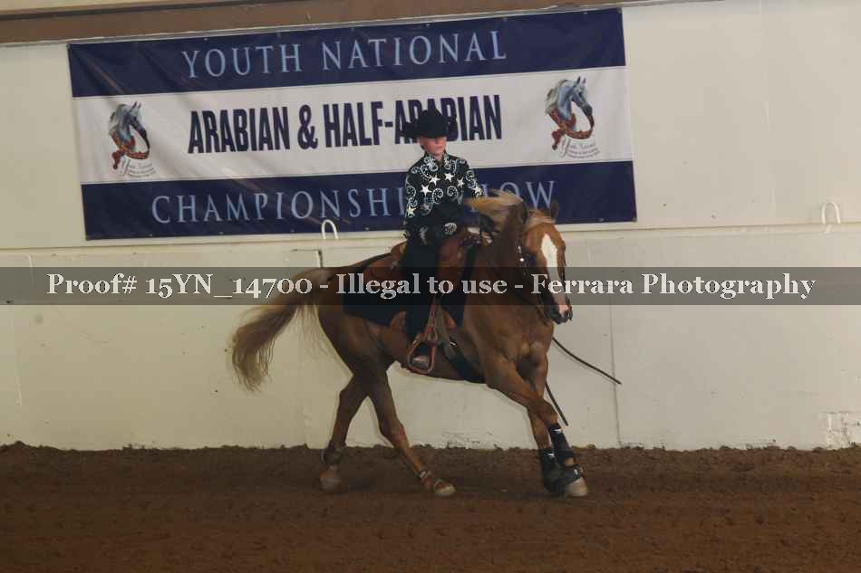 Proof Number 15YN_14700