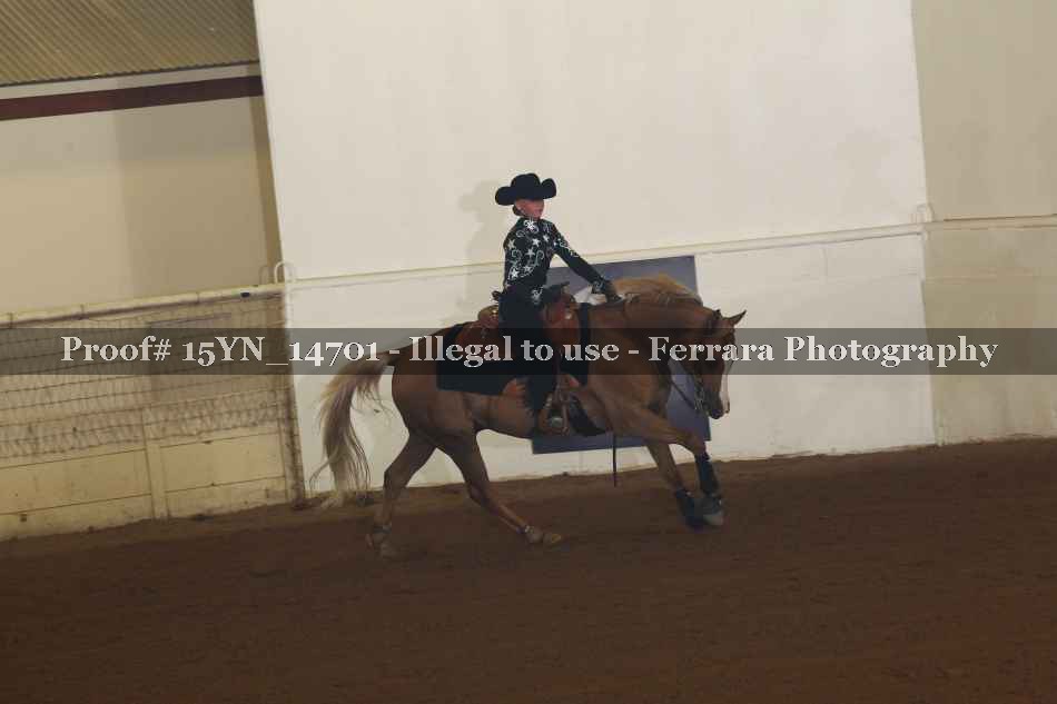 Proof Number 15YN_14701